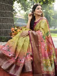 Vandana Saree hero 2